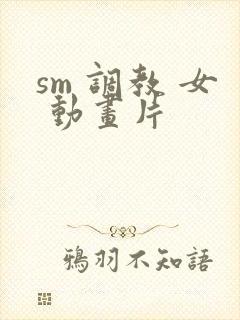 sm 调教 女 动画片