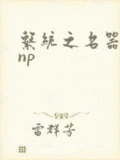 系统之名器攻略np封面