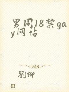 男同18禁gay网站
