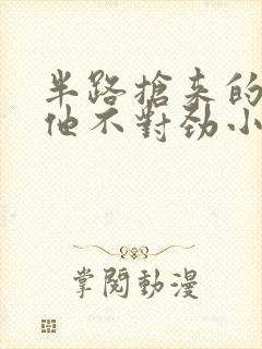 半路抢来的夫君他不对劲小说