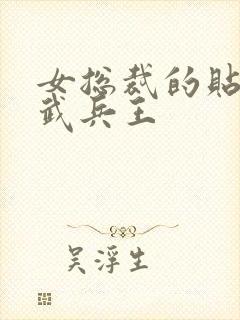 女总裁的贴身医武兵王