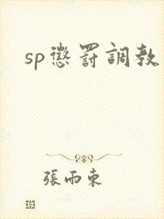 sp惩罚调教文封面