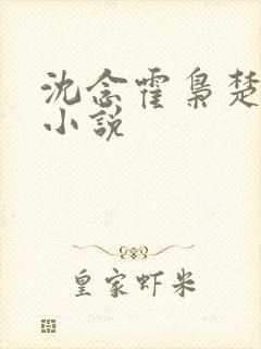 沈念霍枭楚莹莹小说
