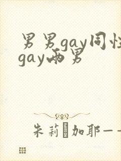 男男gay同性gay两男