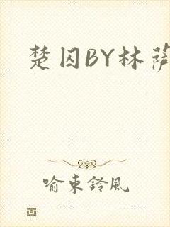 楚囚BY林萨封面