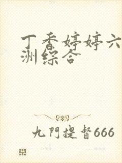 丁香婷婷六月亚洲综合