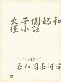太子侧妃和沈怀瑾小说