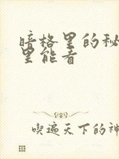 暗格里的秘密哪里能看封面