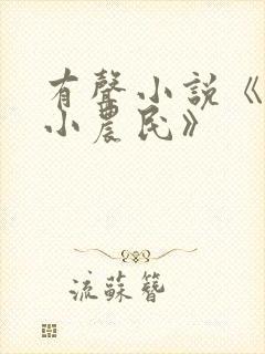 有声小说《至尊小农民》