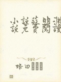 小说苏明渊的小说免费阅读无弹窗封面