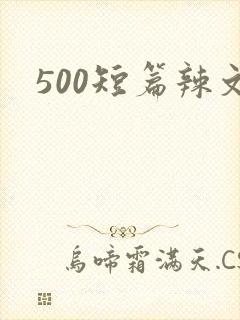 500短篇辣文
