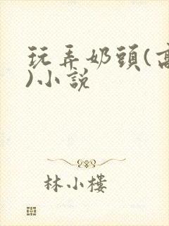 玩弄奶头(高h)小说