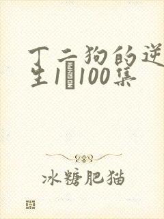 丁二狗的逆袭人生1–100集