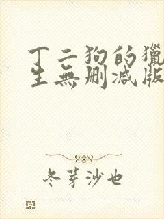 丁二狗的猎艳人生无删减版