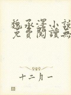 魏承泽小说全文免费阅读无弹窗笔趣封面