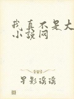 我真不是大佬 小说网