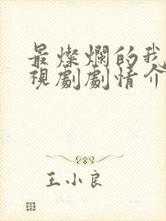 最灿烂的我们电视剧剧情介绍