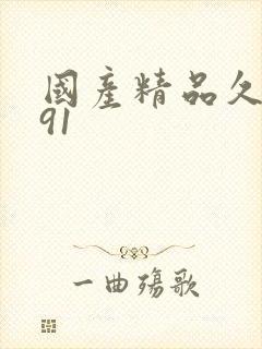 国产精品久久久91