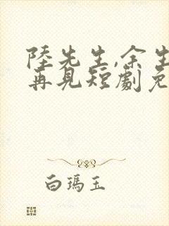 陆先生,余生不再见短剧免费