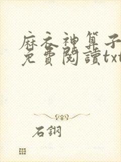 麻衣神算子小说免费阅读txt下载
