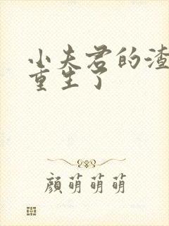 小夫君的渣攻他重生了封面