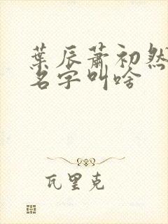 叶辰萧初然小说名字叫啥