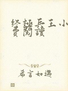 终极兵王小说免费阅读