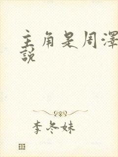 主角是周泽的小说
