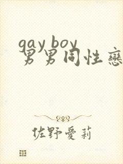 gay boy男男同性恋滚床单视频网站封面