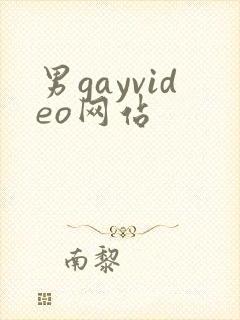 男gayvideo网站