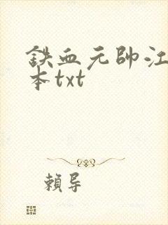铁血元帅江天全本txt