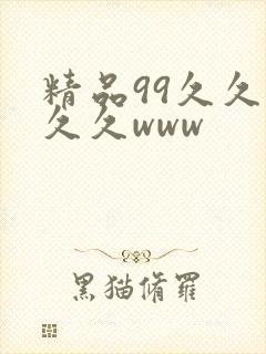 精品99久久久久久www