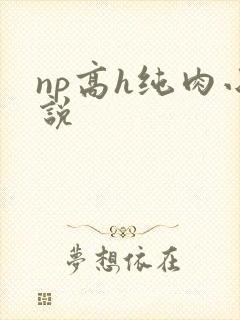 np高h纯肉小说