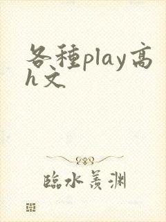 各种play高h文