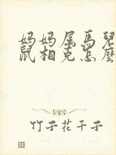 妈妈属马儿子属鼠相克怎么办