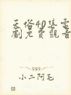 天俗40集电视剧免费观看