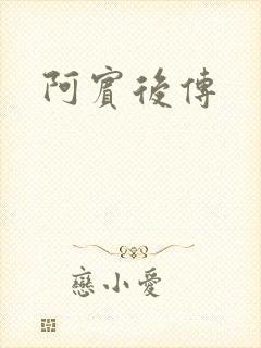 阿宾后传封面