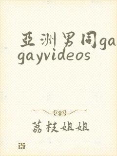 亚洲男同gaygayvideos