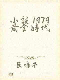 小说 1979黄金时代