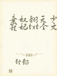 弃奴翻天少帝的宠妃txt全文