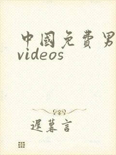 中国免费男同志videos封面