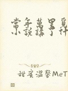 当年万里觅封侯小说讲了什么