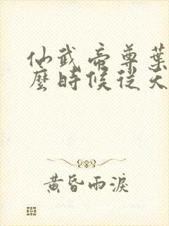 仙武帝尊叶辰什么时候从天界回来封面