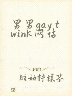 男男gay twink网站