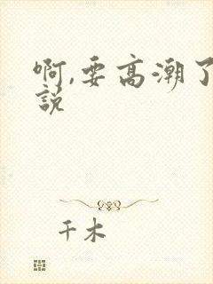 啊,要高潮了小说