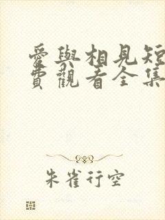 爱与相见短剧免费观看全集高清版