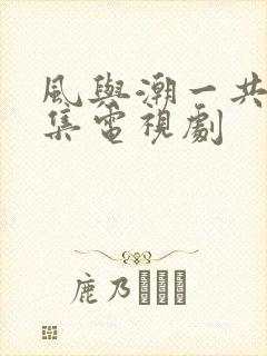 风与潮一共多少集电视剧封面