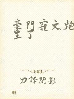 豪门宠文炮灰重生了封面