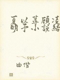 夏以荨顾凌烟傅明予小说结局封面