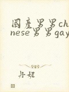 国产男男chinese男男gaygay网站